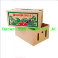 Corrugated Cardboard Fruit Tray (PFT16003)